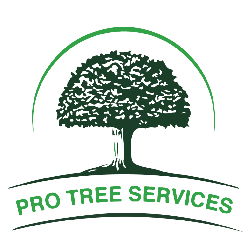 Pro Tree Services – The Best Services